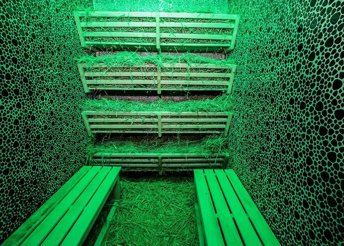 Cappadocia Cave & Учисар